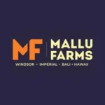 Home 63 mallufarms